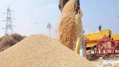 Chhattisgarh Dhan Kharidi 2026