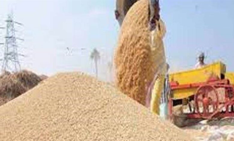 Chhattisgarh Dhan Kharidi 2026