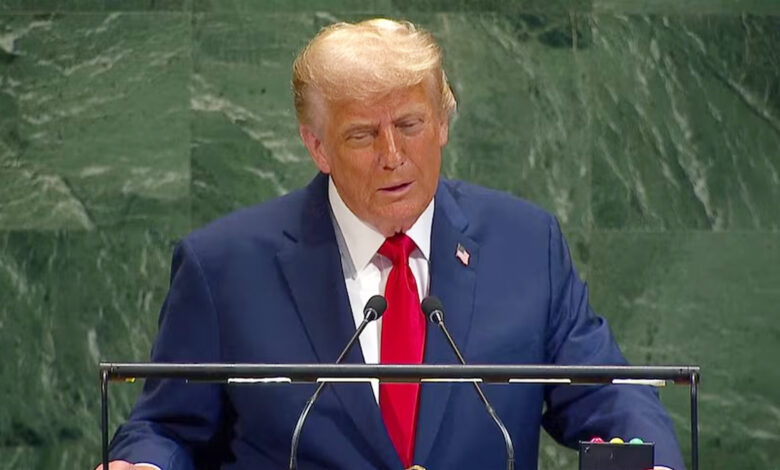 Donald Trump becoming his Mian Miu