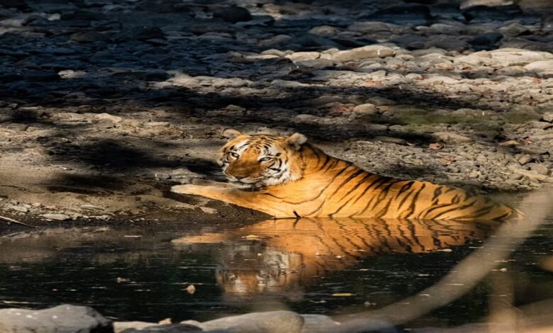 Khivni Wildlife Sanctuary