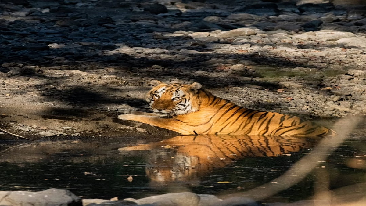 Khivni Wildlife Sanctuary