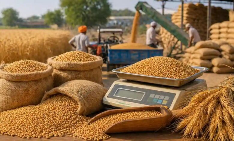 Wheat Procurement MP