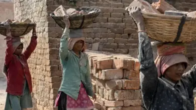 Government Scheme For Pregnant Women