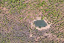 Udanti Sitanadi Tiger Reserve