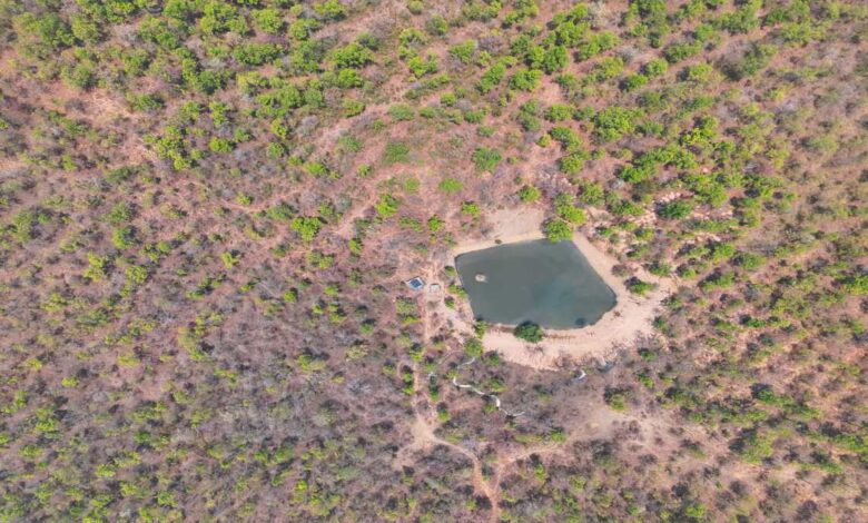 Udanti Sitanadi Tiger Reserve