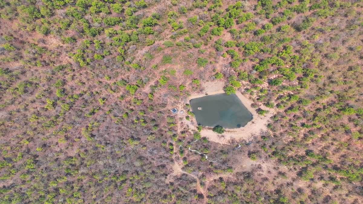 Udanti Sitanadi Tiger Reserve