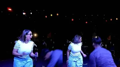 Sunanda Sharma Concert