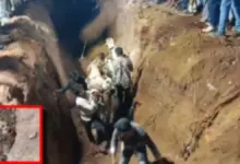 BSP Accident