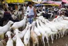Bakrid Goat Market