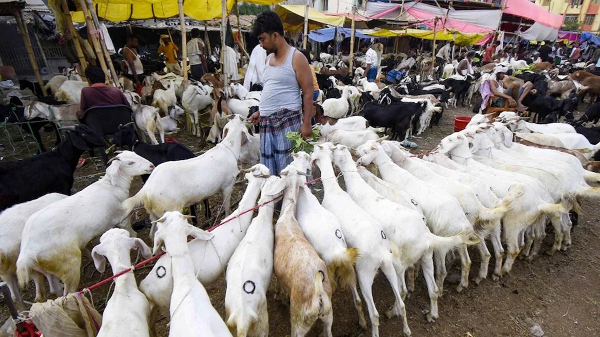 Bakrid Goat Market