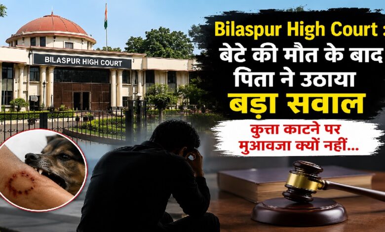 Bilaspur High Court