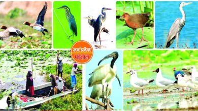 From biodiversity to culture, Dalpat Sagar is special and needs conservation