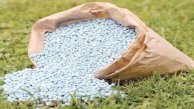 Effective initiatives to tackle fertilizer crisis are urgently needed