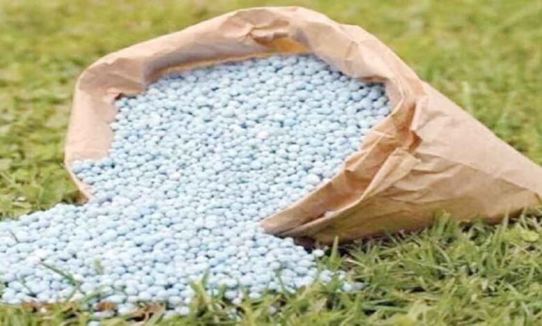Effective initiatives to tackle fertilizer crisis are urgently needed