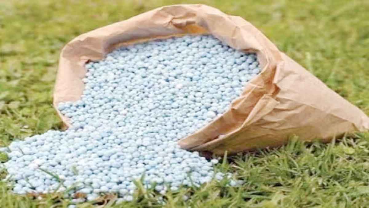 Effective initiatives to tackle fertilizer crisis are urgently needed