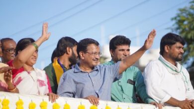 Gujarat AAP Victory