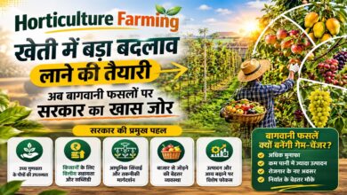 Horticulture Farming