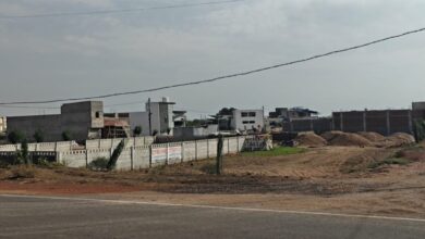 Land Mafia