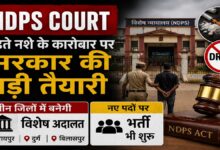 NDPS Court