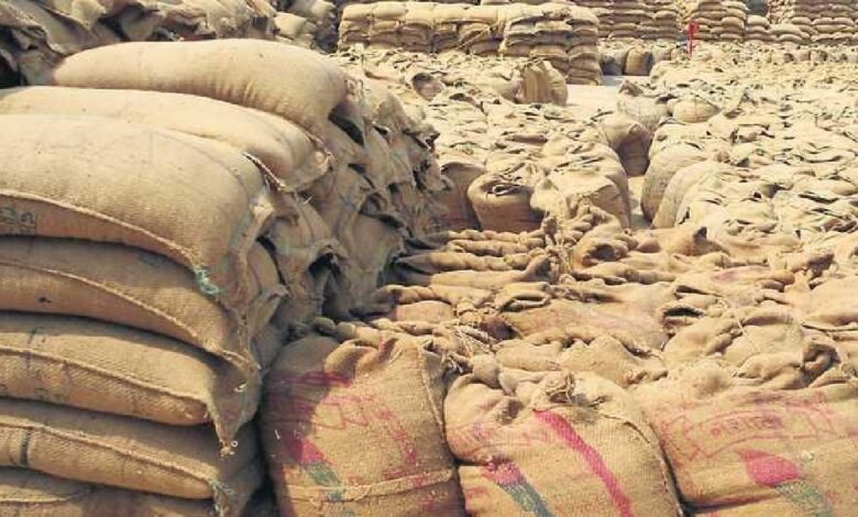 Paddy Scam