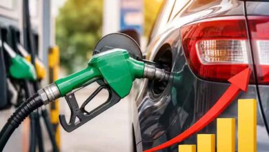 Petroleum prices rise