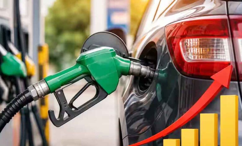 Petroleum prices rise