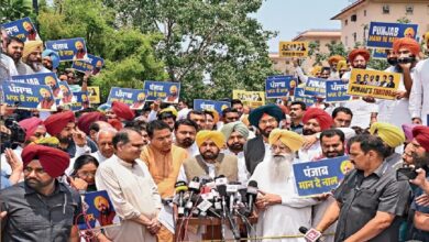 Punjab Politics Crisis