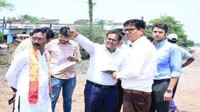 Raigarh Development