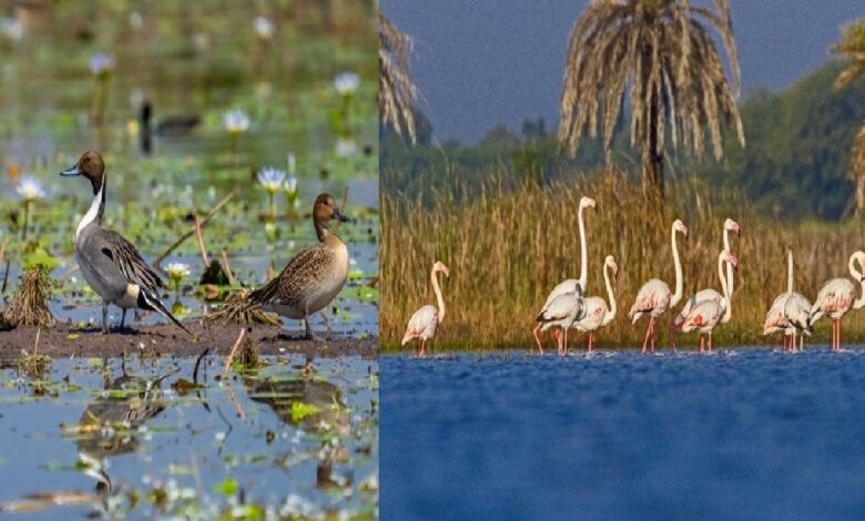 Ramsar Site