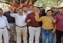 Tehsildar Strike
