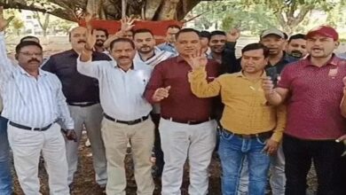 Tehsildar Strike
