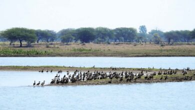 The dried reservoir snatched away their home