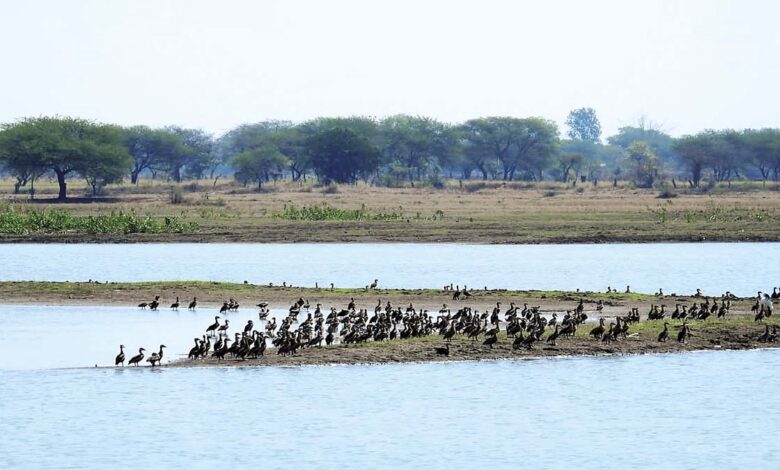 The dried reservoir snatched away their home
