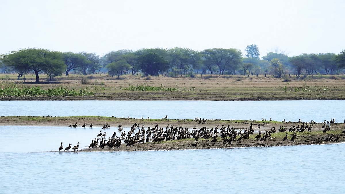 The dried reservoir snatched away their home