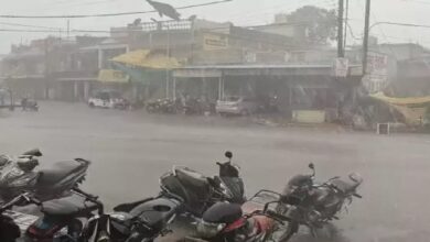 Thunderstorm Alert