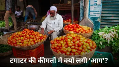 Tomato Price