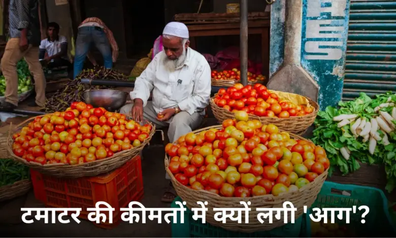 Tomato Price