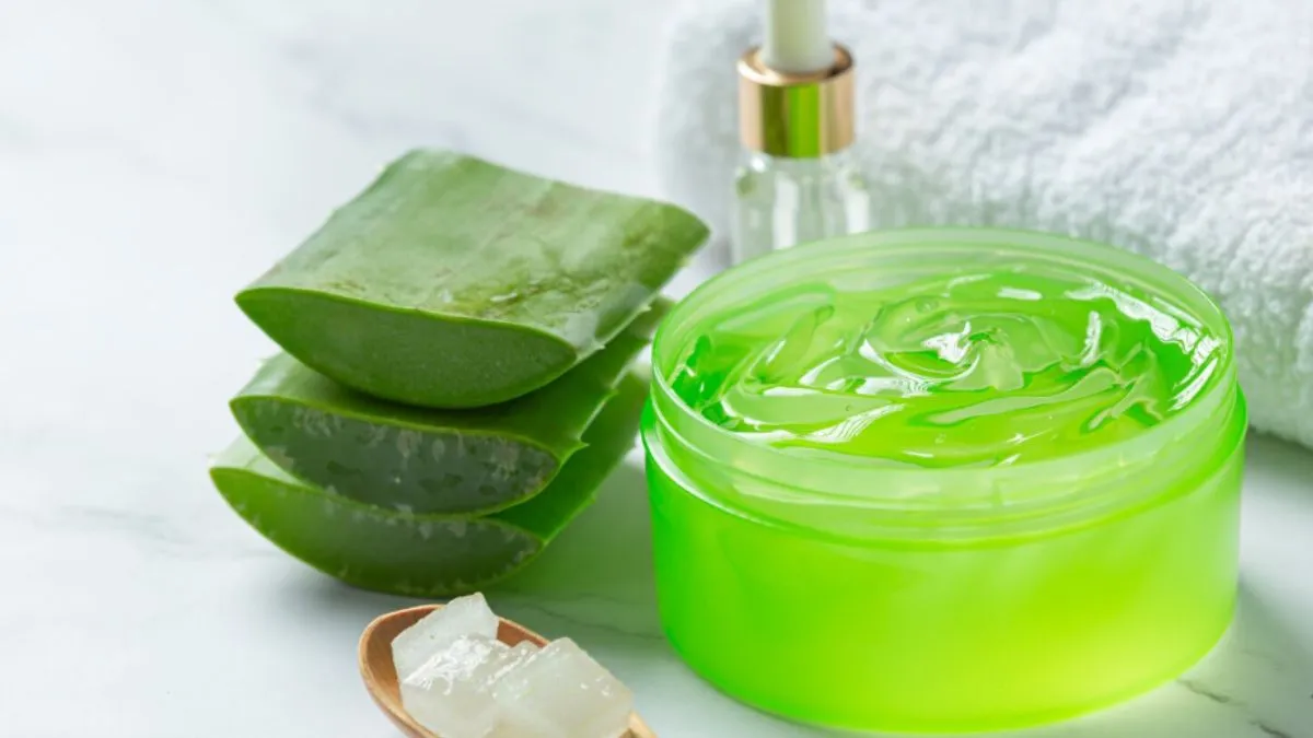 Aloe Vera