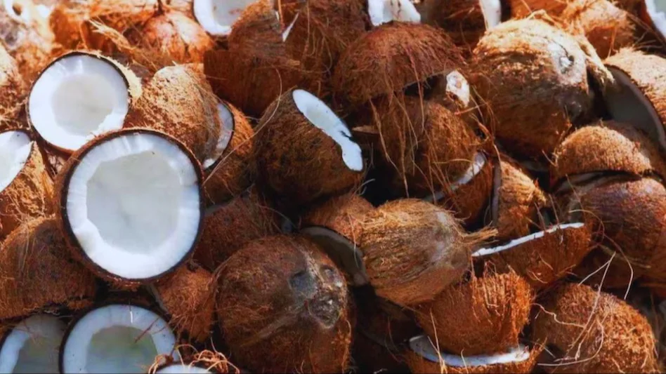 Coconut Price