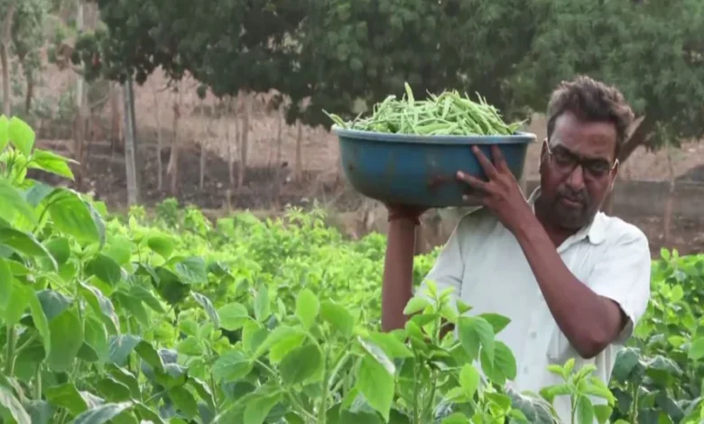 Natural Farming