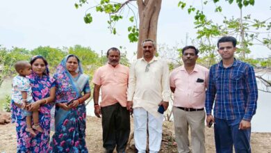 A unique greenery campaign