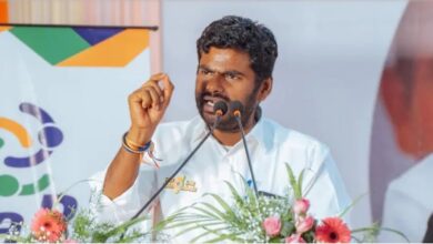 Annamalai Tamil Nadu Politics