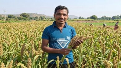 Farmer Income Kodo Kutki