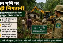 Forest Encroachment