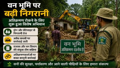 Forest Encroachment