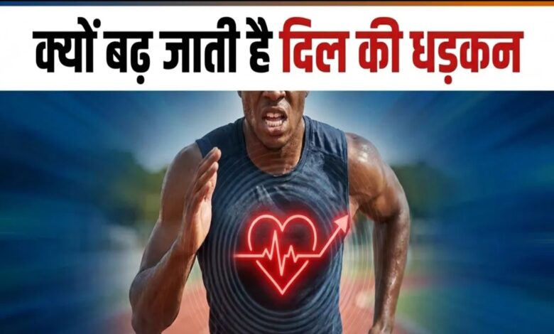 Heart Attack Risk