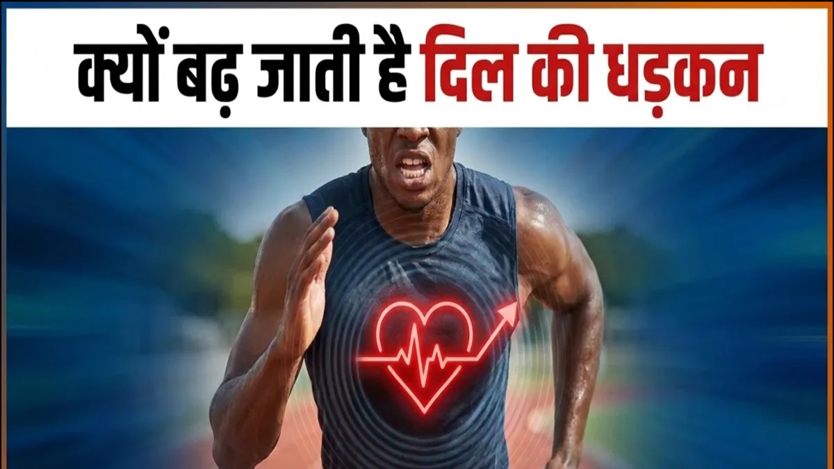 Heart Attack Risk