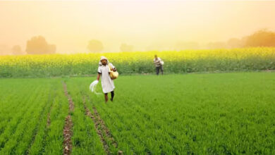 Inflation hits farmers: A major blow before sowing, farming costs rise by ₹10,000 per acre