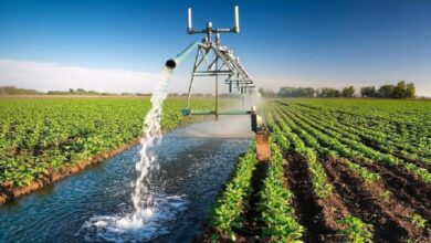 Irrigation Project