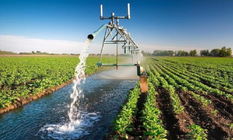 Irrigation Project